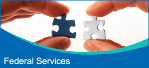 Puzzle Pieces - Systems Engineering